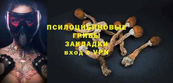 спиды Медвежьегорск